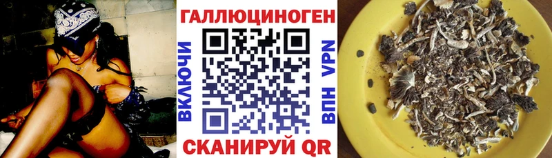 Галлюциногенные грибы GOLDEN TEACHER Невьянск